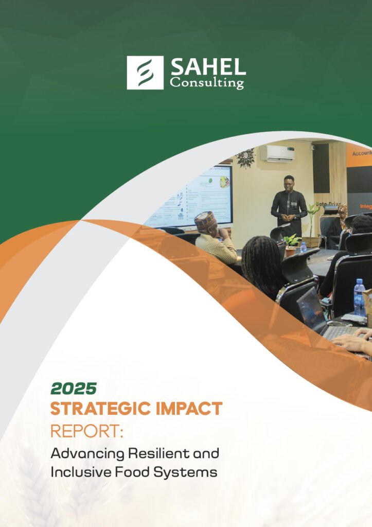 2025 Strategic Impact Report