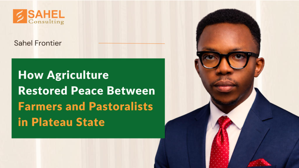 How Agriculture Restored Peace Between Farmers and Pastoralists in Plateau State
